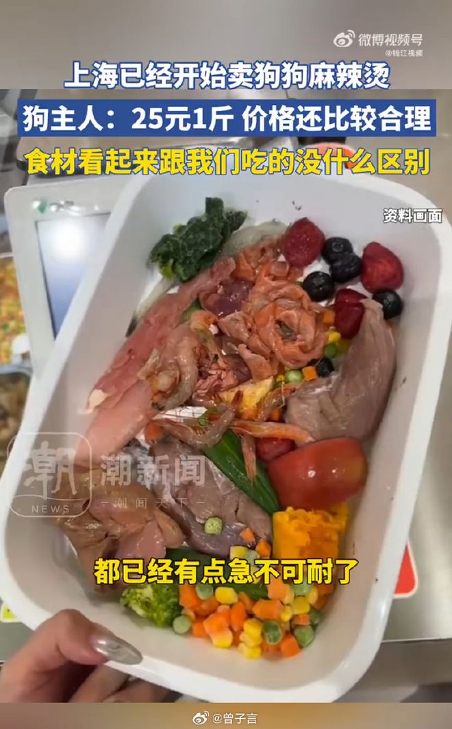 麻辣烫25一斤全是真肉上海狗有福了！AG真人app破防了！上海惊现狗狗(图2)