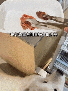 麻辣烫25一斤全是真肉上海狗有福了！AG真人app破防了！上海惊现狗狗(图8)