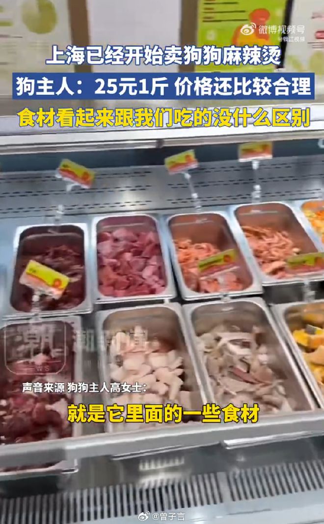 麻辣烫25一斤全是真肉上海狗有福了！AG真人app破防了！上海惊现狗狗(图9)