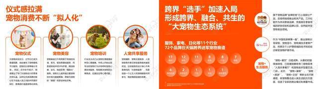 家人“它经济”比你想象更猛烈AG真人游戏第一品牌从看门到