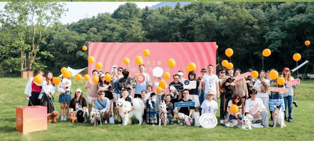 遛节来啦！带上毛孩子赴一场冬日狂欢AG真人平台玉龙湾景区忘野集萌宠遛(图1)