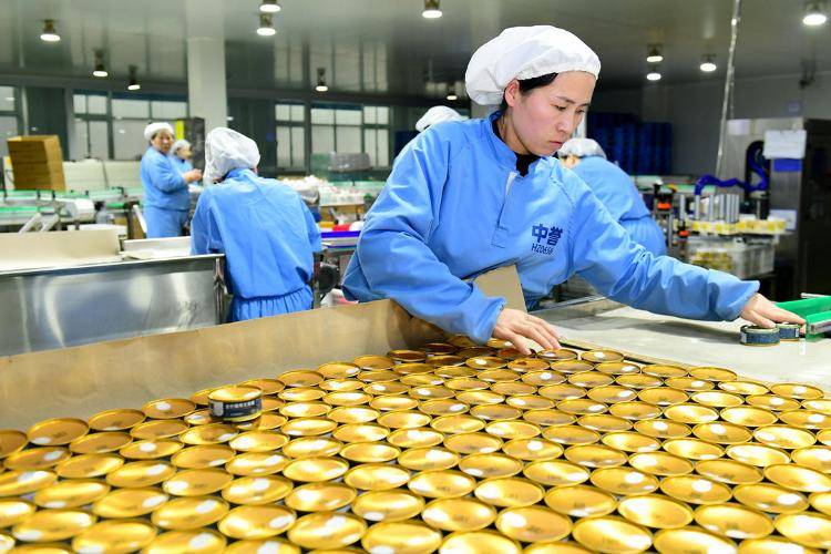 全国每十袋宠物粮就有三袋产自山东(图3) 全国每十袋宠物粮就有三袋产自山东(图3)