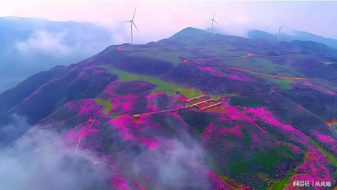 时吃进宠物龙头社保新近2个被套牢AG真人