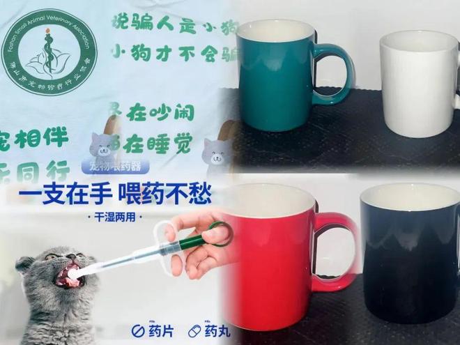 ！友趣会宠物交友墙火热招募中AG真人地址萌宠出道就现在(图2)