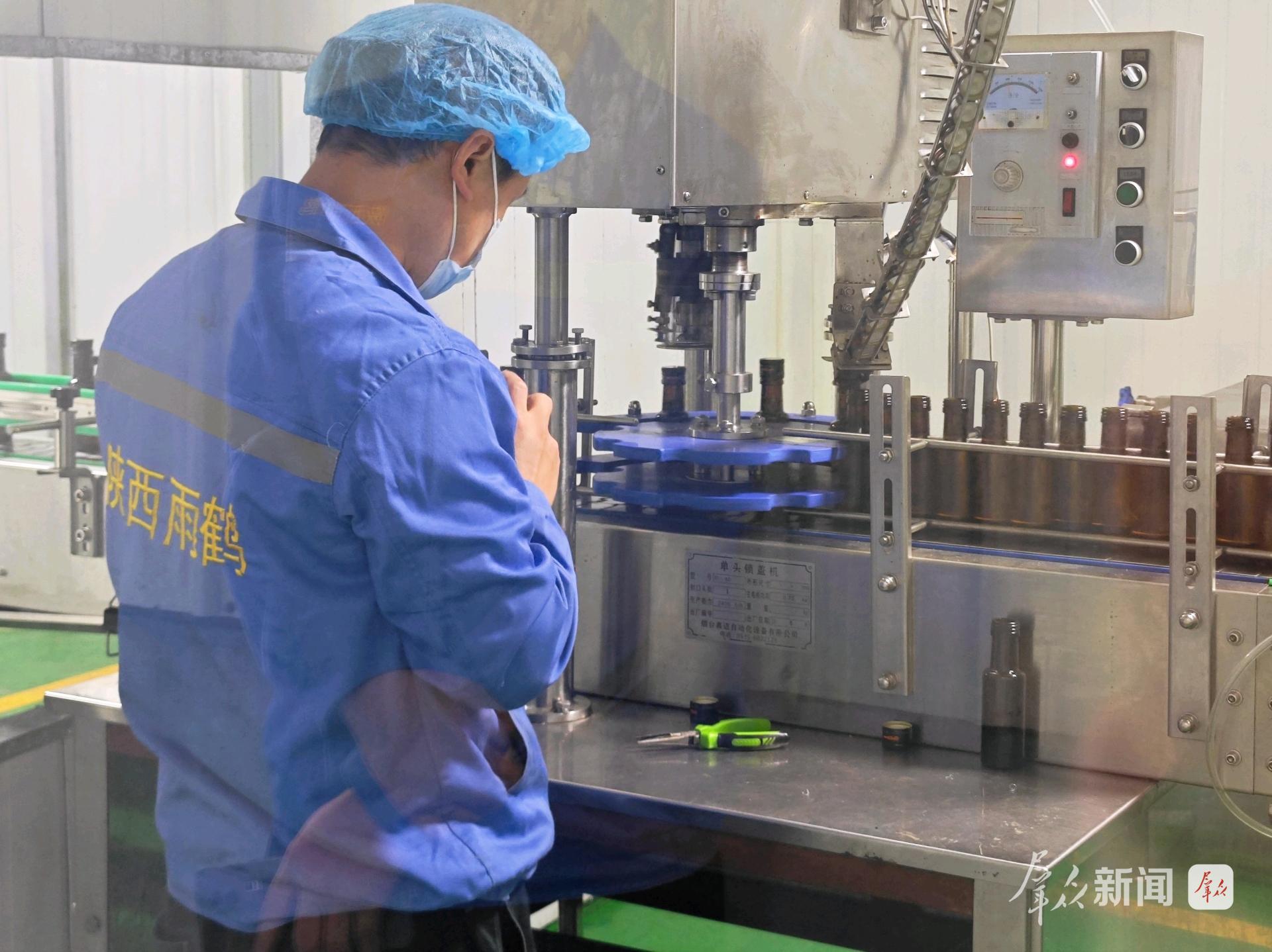 洛：小核桃闯荡大世界AG真人游戏地址商