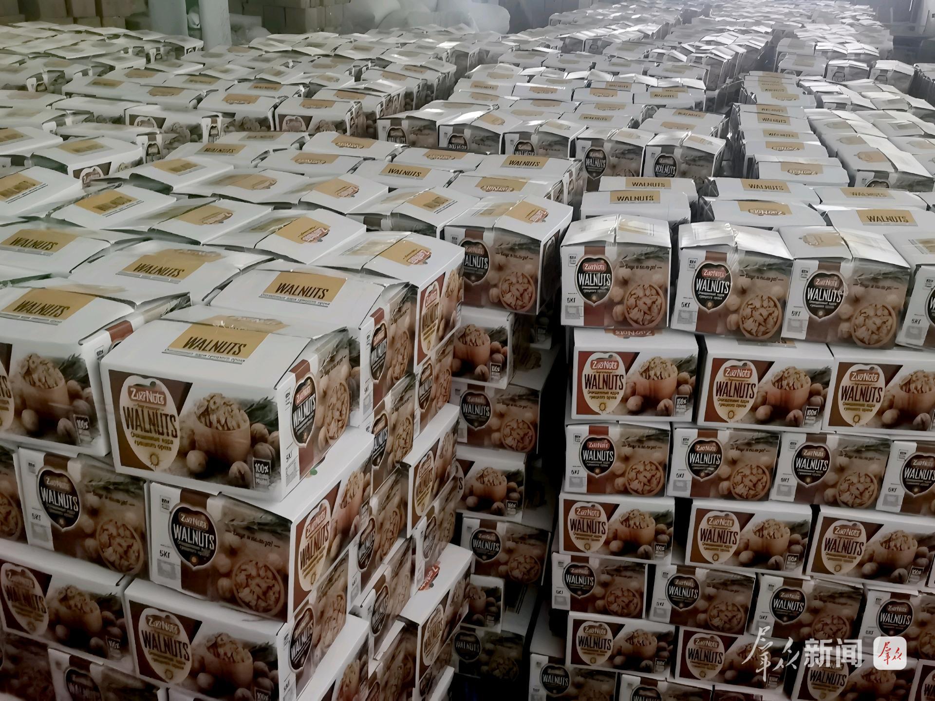 洛:小核桃闯荡大世界AG真人游戏地址商(图2) 洛:小核桃闯荡大世界AG真人游戏地址商(图2)